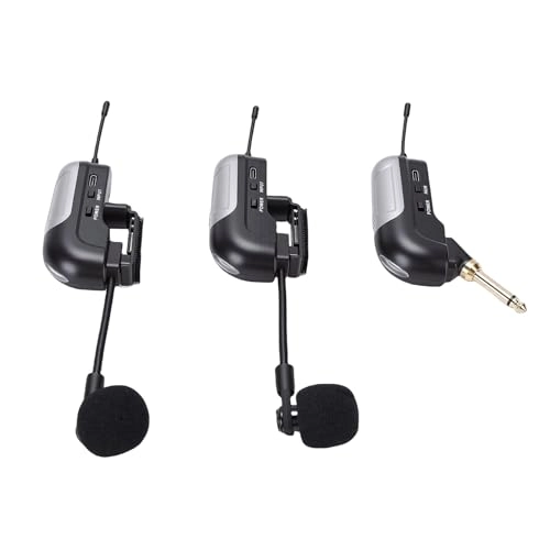 Wireless Accordion Microphone - 2 UHF