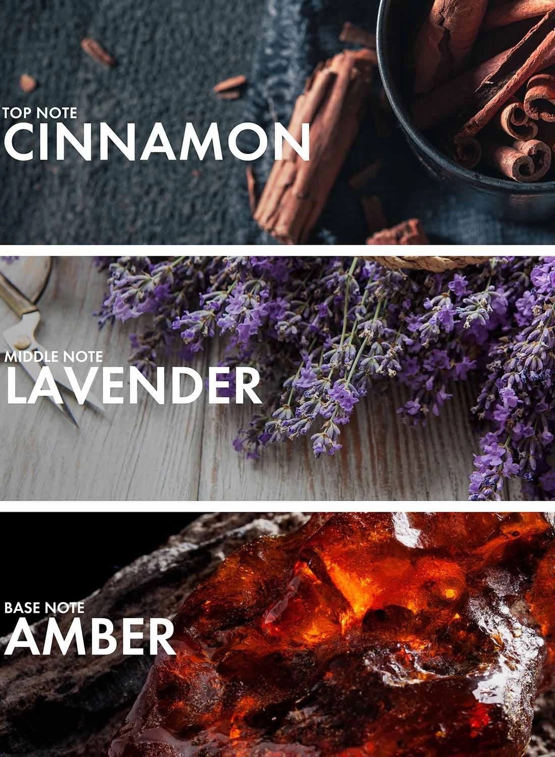 Amber Neroli Eau de Parfum 50 ml