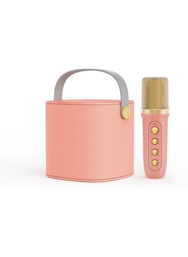 Portable karaoke speaker
