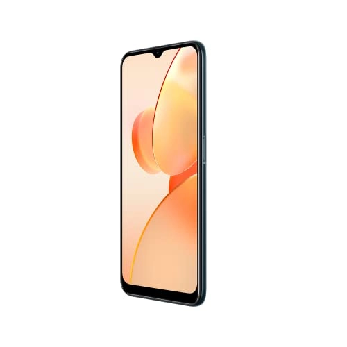 C31 - 4GB 64GB