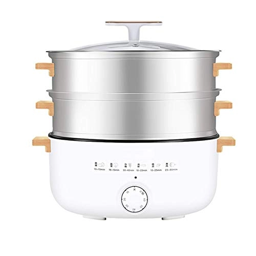 Electric Steamer - 12L Home Use