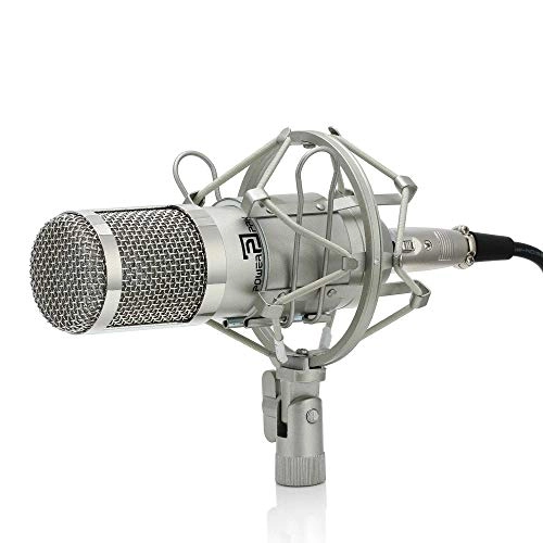 BM-800 USB+XLR Microphone