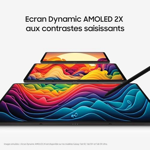 Galaxy Tab S9+ - 256GB 12.4"