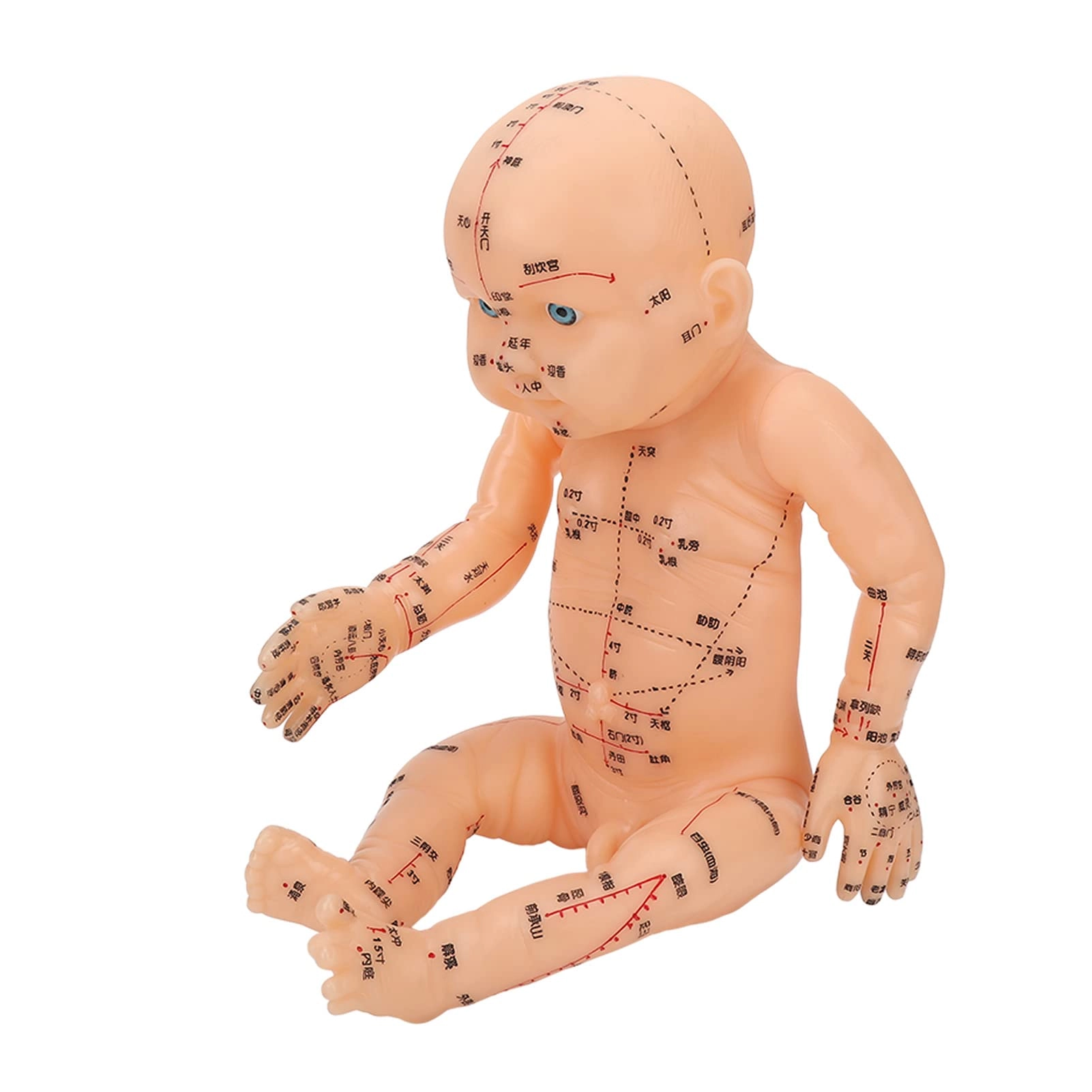 Acupoint children model