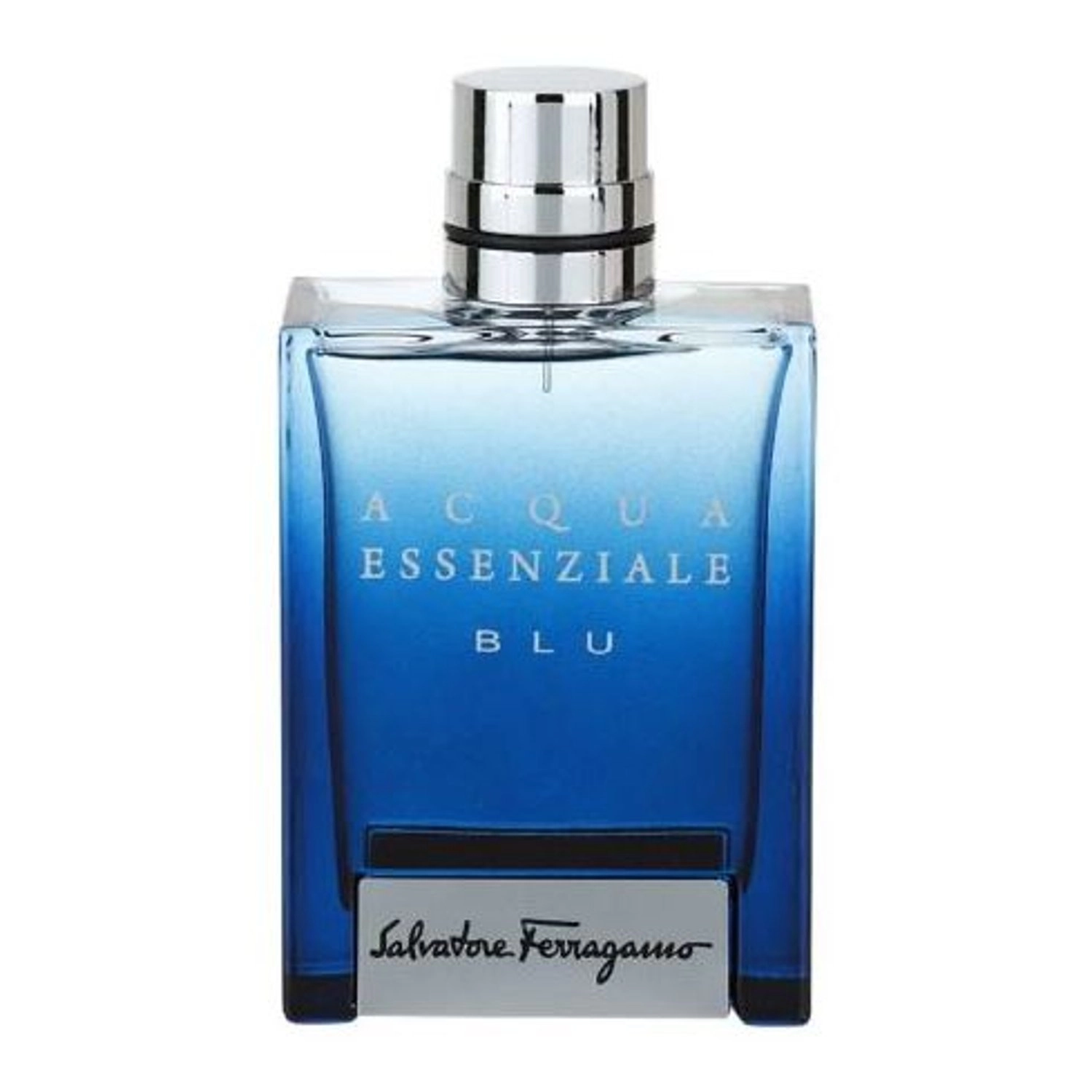 Acque Essenziale Blu H Eau de Toilette 100ml