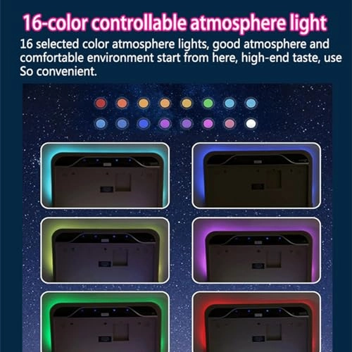 Car ceiling display - 19-Inch