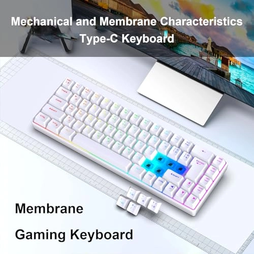 68 Key RGB Mechanical Gaming Keyboard - Wired/Wireless