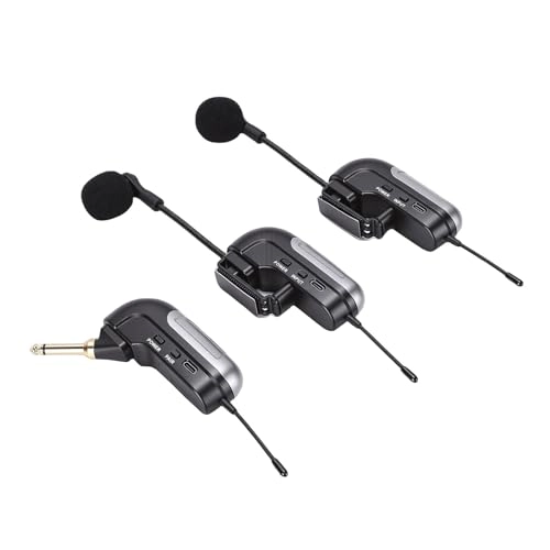 Wireless Accordion Microphone - 2 UHF