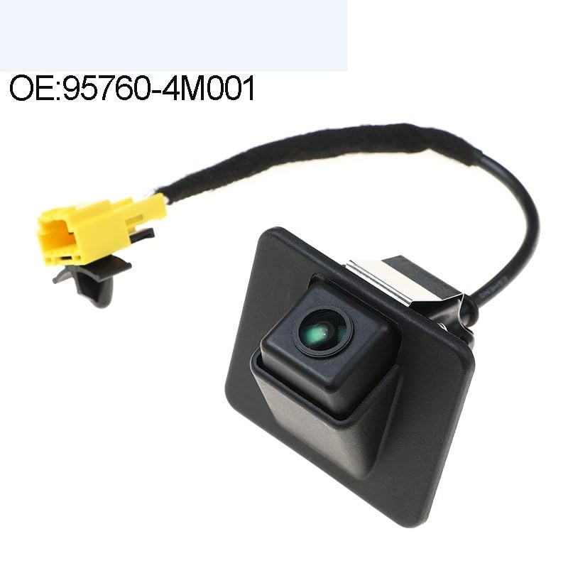 Reversing Camera - Night vision