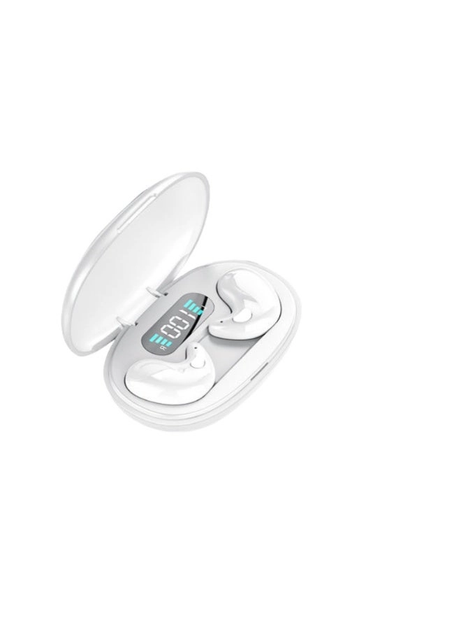 Wireless Bluetooth Earphones