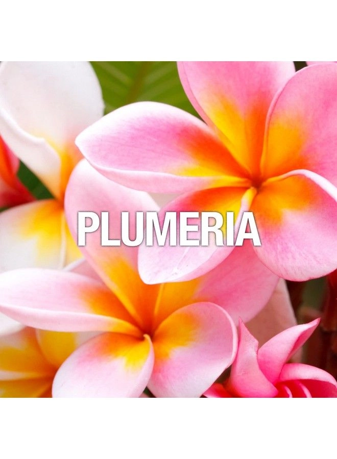 Women Eau de Toilette