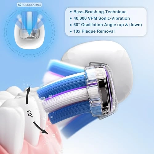 BASS-Brushing - 60° Oscillating 110-Day Battery IPX7