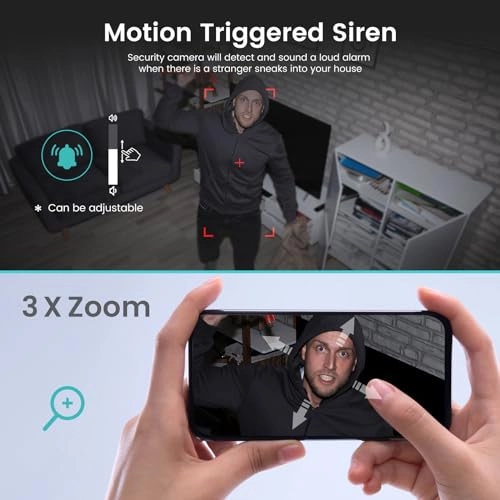 C1