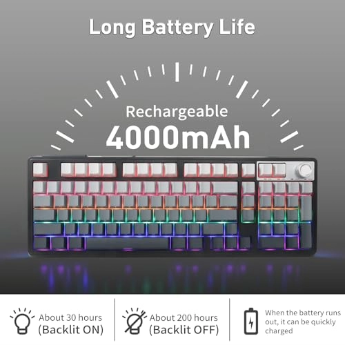 Z-11 - Wired/Wireless