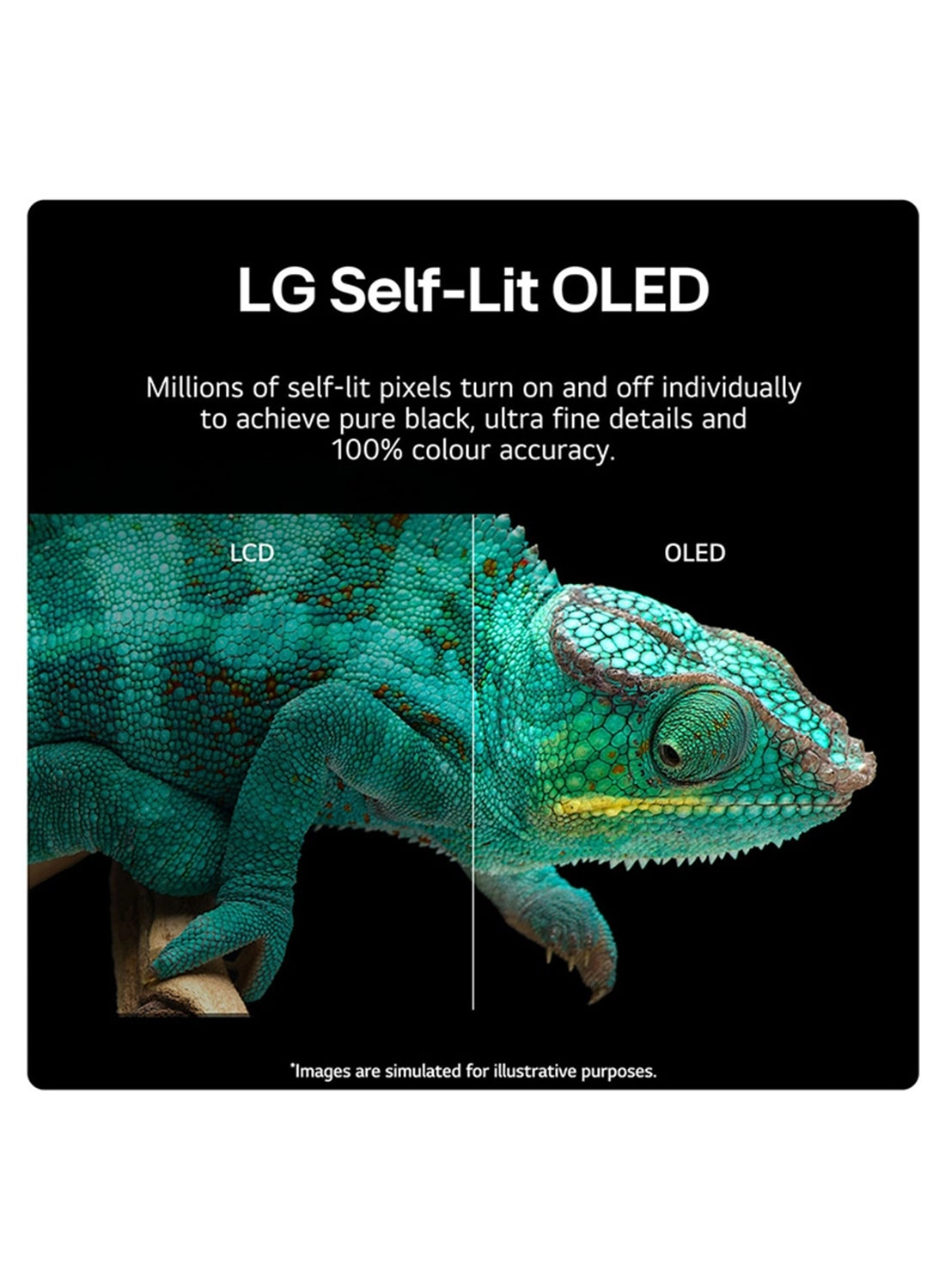 OLED77B46LA - 77 inch