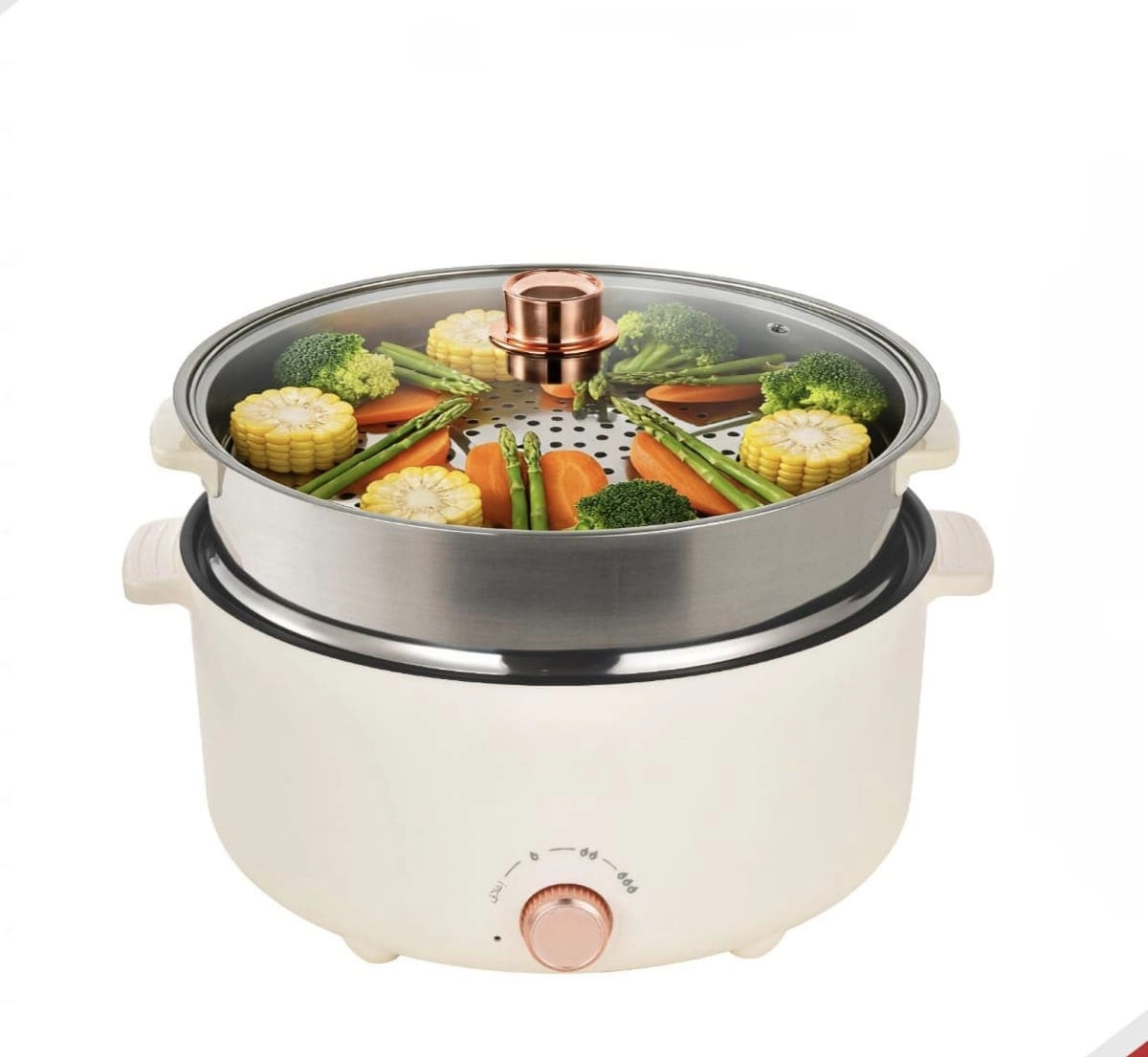Havenix Multi Function Electric Cooker - 5L