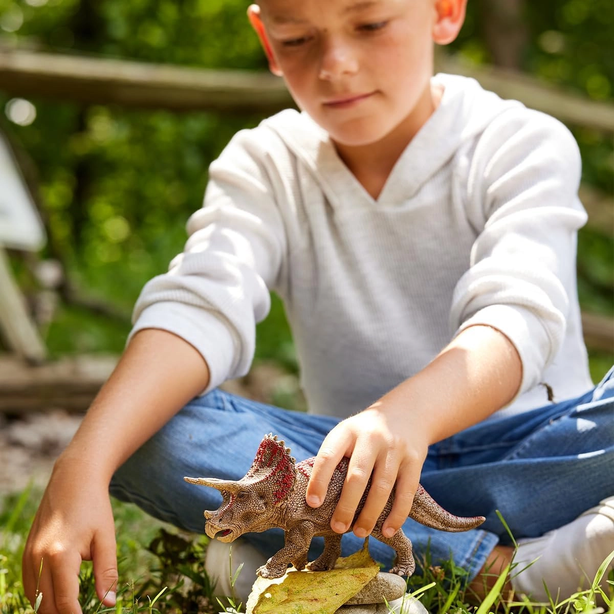 Triceratops - 4 years Dinosaurs 1 pc 1 pc