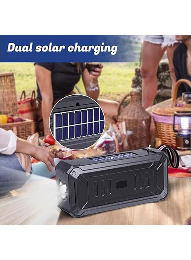 Portable Solar Speaker