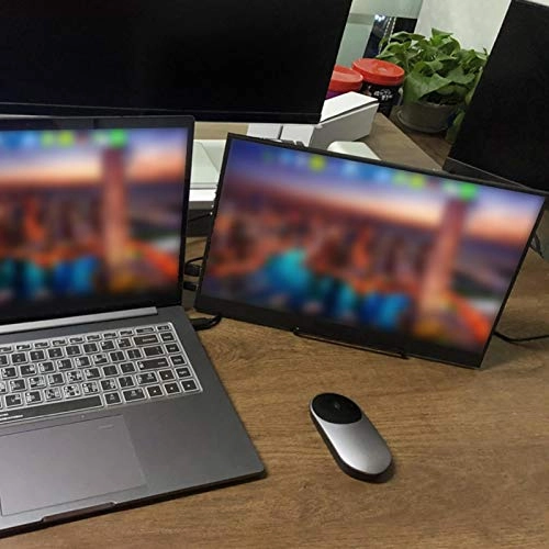 Portable Monitor - 1920 x 1080 17.3 Inch