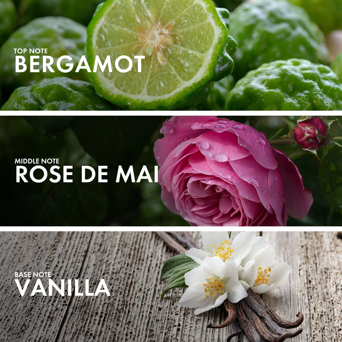 FLORIENTAL BERGAMOT Eau de Parfum 50ml