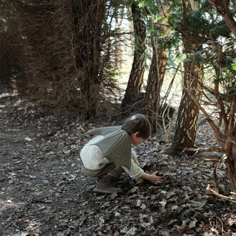 Dragon Wings - 65 x 30 cm Suitable for 2 years & above