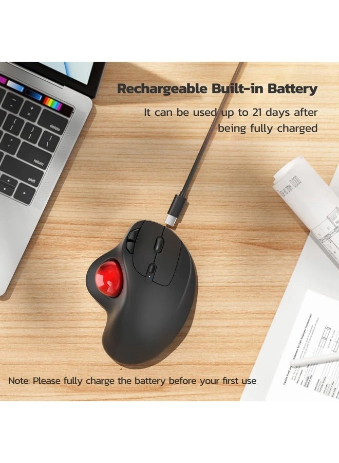 M501 Trackball Mouse - Wireless