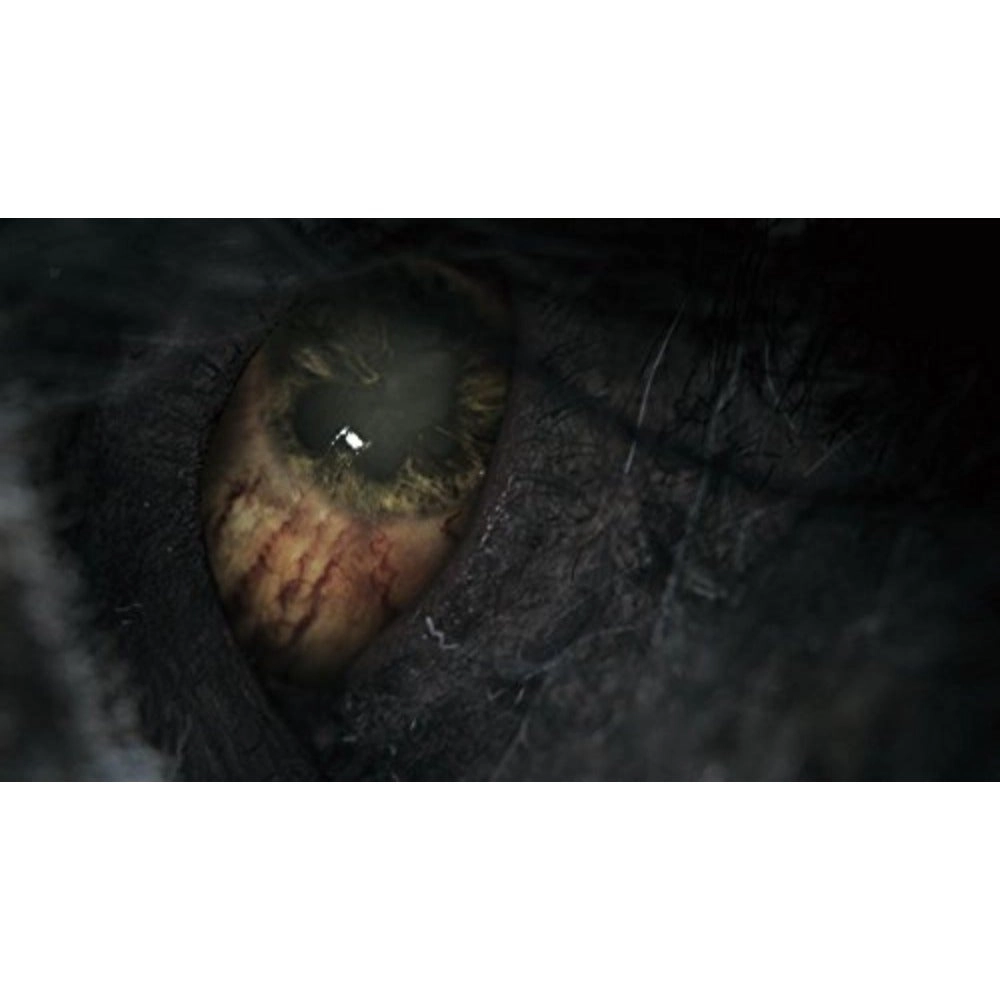 Bloodborne | PS4