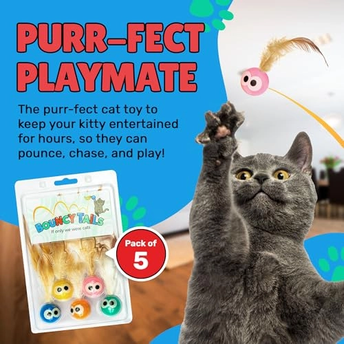 Bouncy Ball - Kittens and young cats