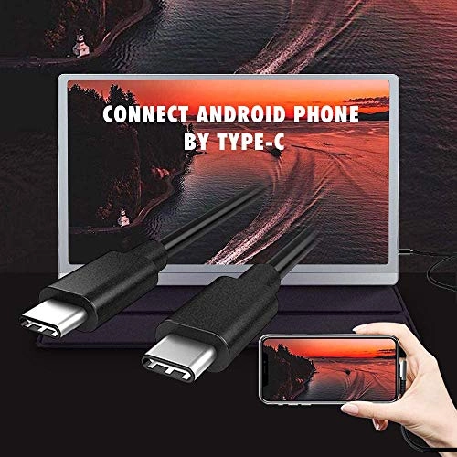 Portable Mobile Display Monitor - 1920x1080 15.6 Inches