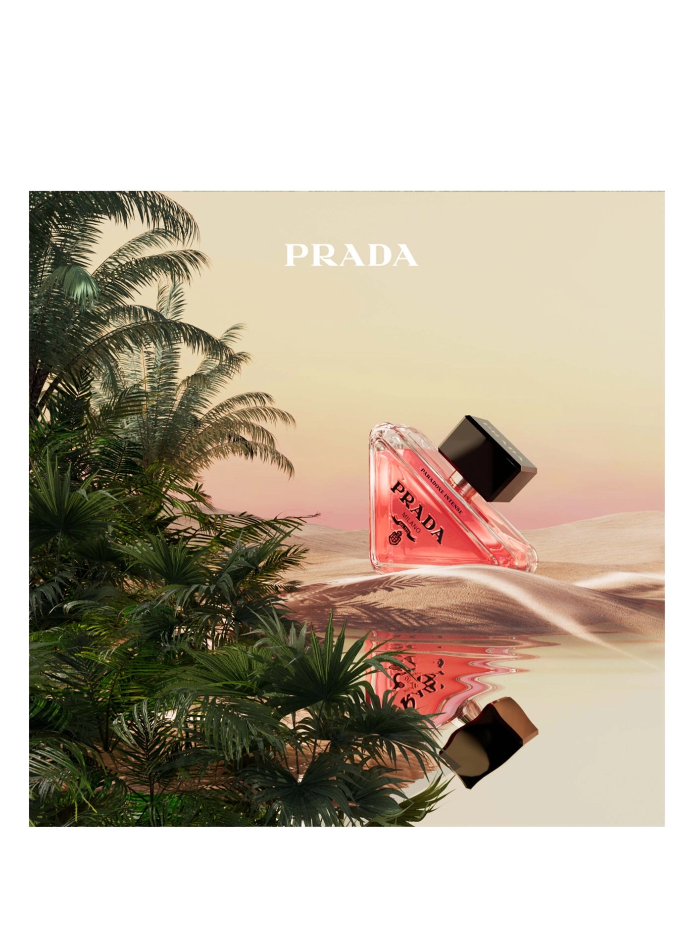 Paradoxe Intense Ramadan Set