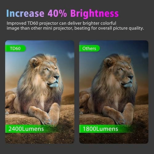 VSDCDEBDS 2400 lumens
