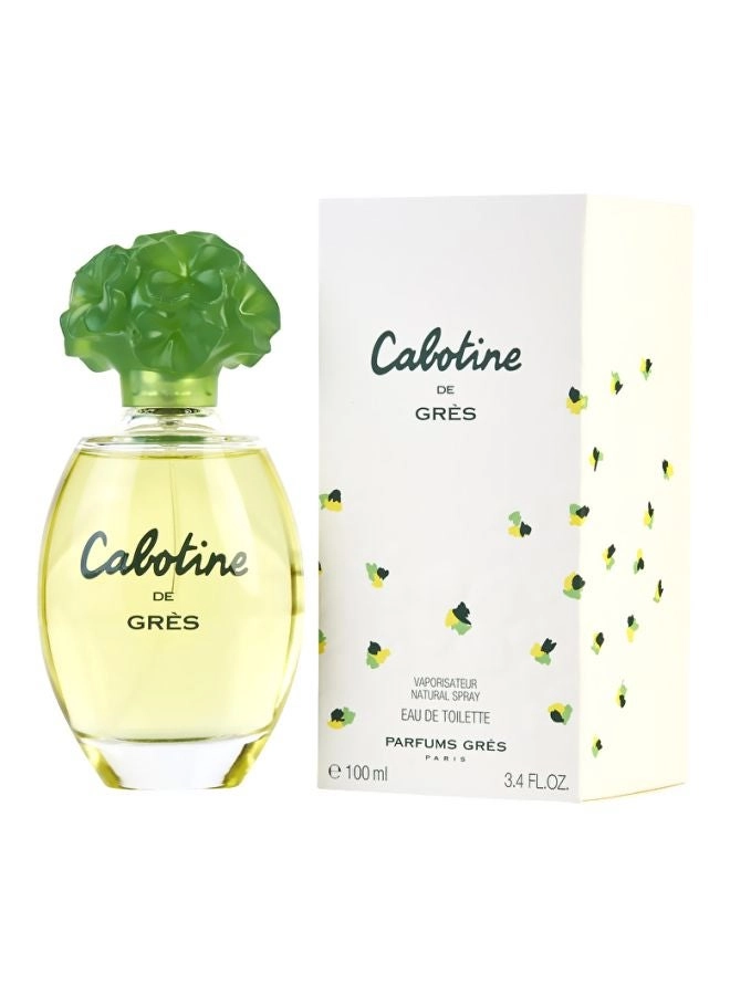 Perfume For Women Eau de Toilette 100ml