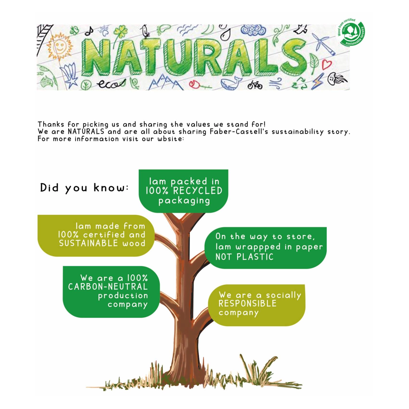 Naturals Colour Pencils - 12 Colours