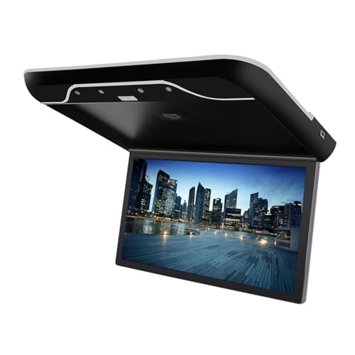IPS Car Roof Monitor - 19"