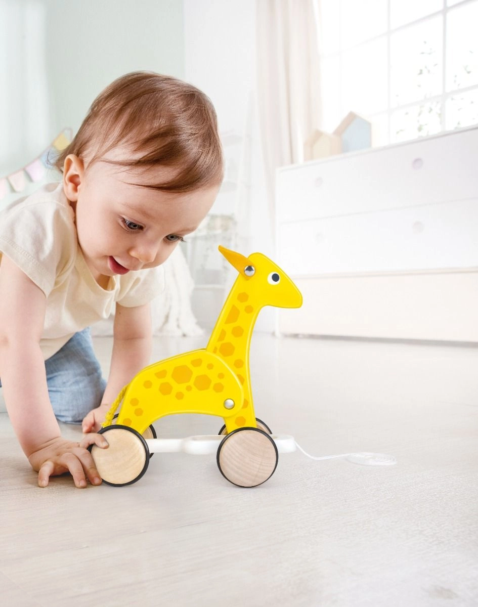 Giraffe Pull Along Toy