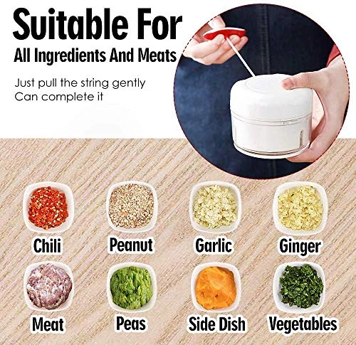 Manual Food Chopper - 170ml 2 blades