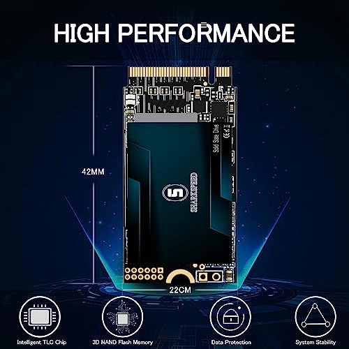 M.2 2242 NVME - 256GB