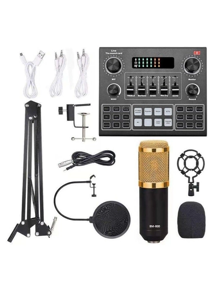 Elite V9 Sound Card + BM800 Pro Microphone Wired Microphone