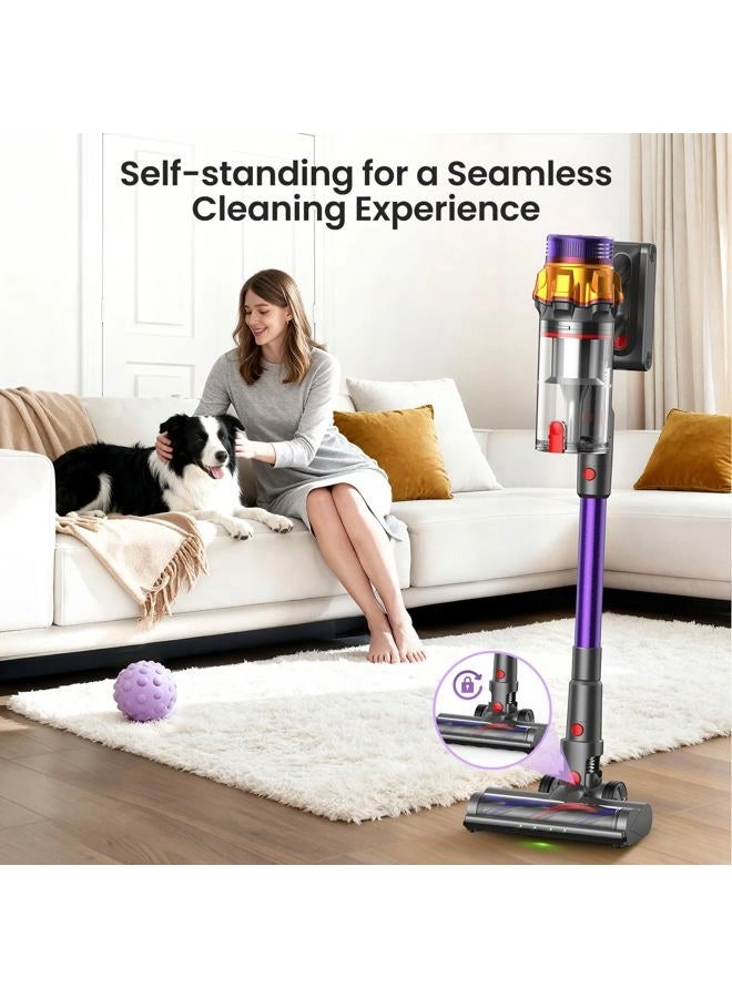 Cordless Vacuum Cleaner (P12)
