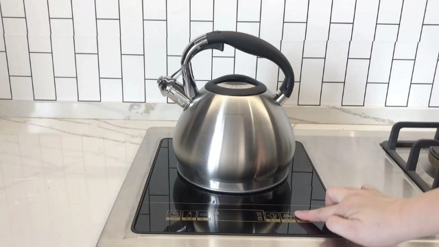 Whistling Stovetop Tea Kettle - 2.3 l