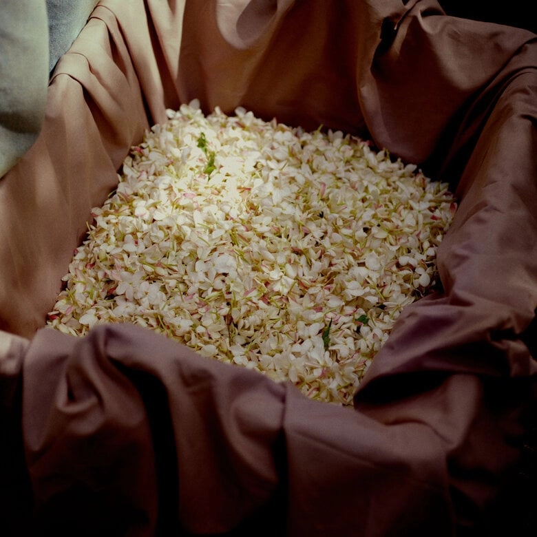 Gelsomino A Freddo Eau de Parfum 180ml