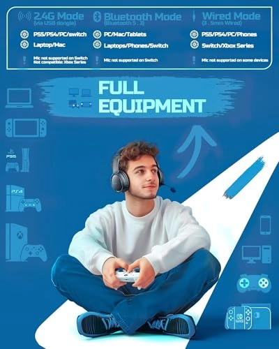 BW02-BT Wireless Headset