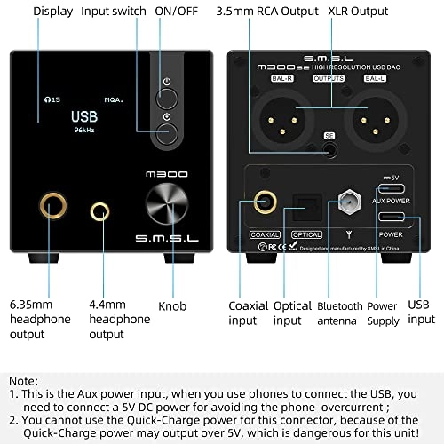 M300SE - 2PCS CS43131 MQA