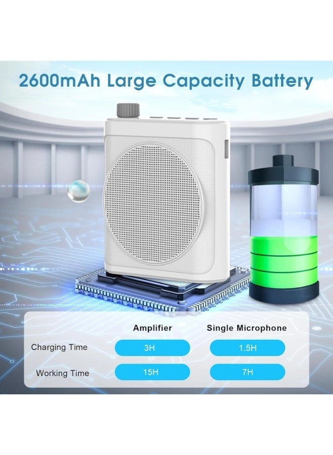 Voice Amplifier - 2 Lav Mic