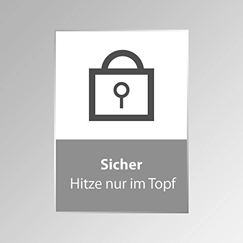 Master E2 03041 Induction hob