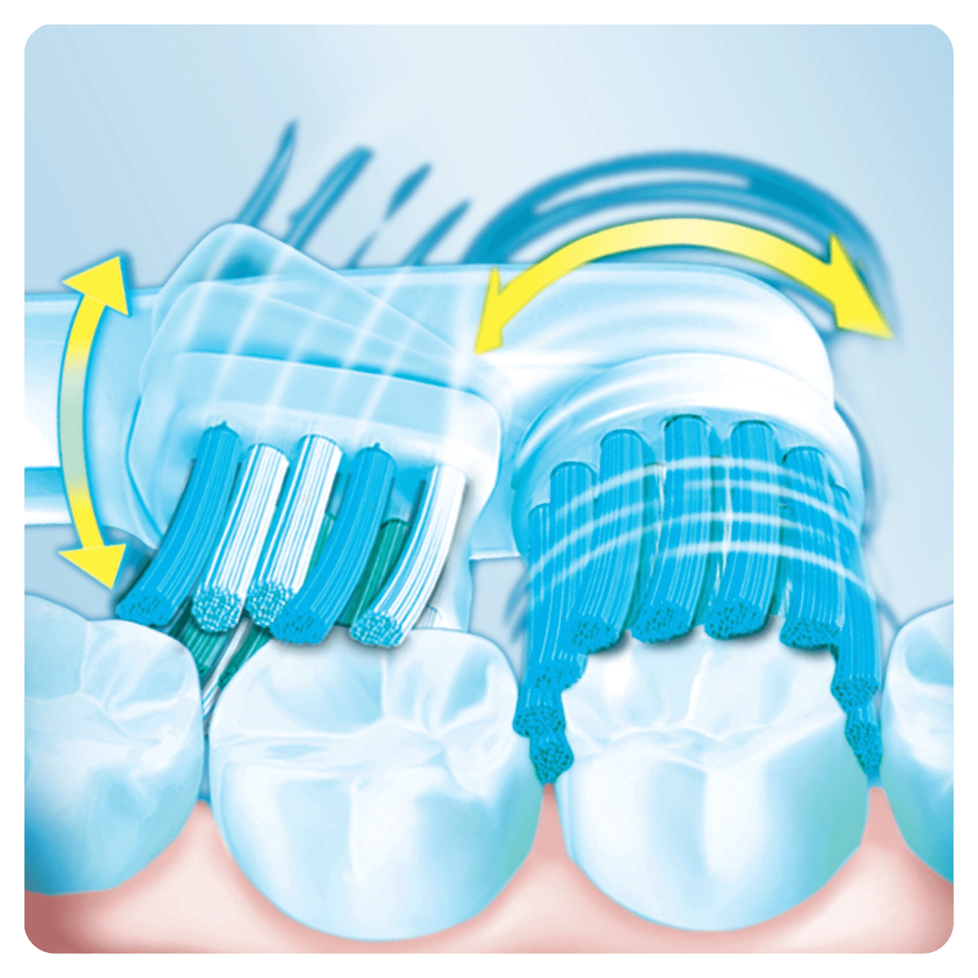 Denture Brush - 2 piece(s) Blue