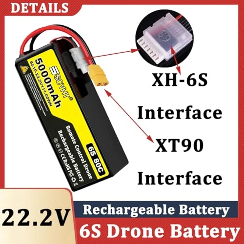 Lipo Battery 6S