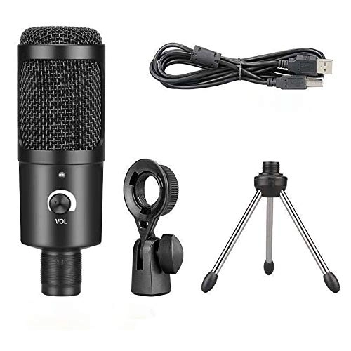 Mini Microphone Wired+Wireless Microphone