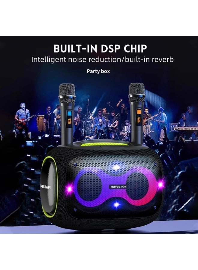 Party Box - 2 Microphones 120W