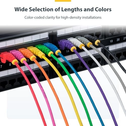 CAT6 Cable - 6 ft